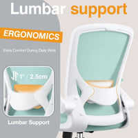 COOLHUT Ergonomic Office Chair with Lumbar Support | Breathable Mesh Desk Chair with Flip - Up Arms (Light Blue), a high - quality from 1Nook