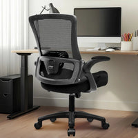 Neeya Ergonomic Mesh Office Chair | High - Back Desk Chair with Adjustable Lumbar Support & Flip - Up Arms, a high - quality from 1Nook